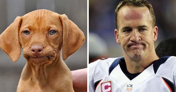 Which Two Animals Are You Combination Of?