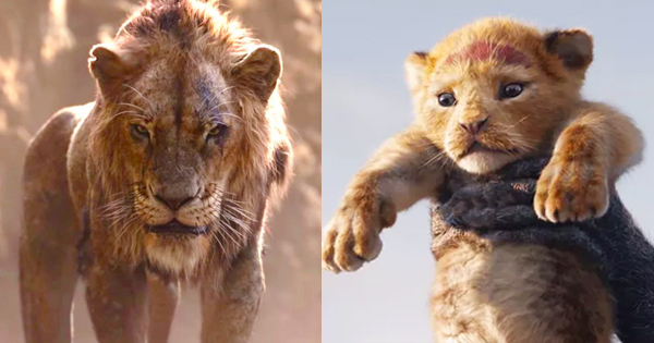 Which Two Animals Are You A Mix Of?