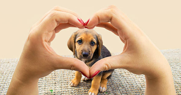 Quem te ama mais do que tudo?