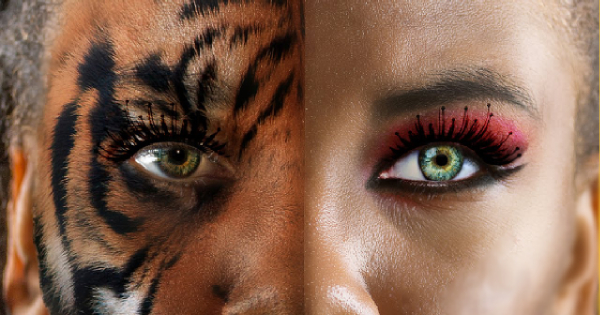 Which animal represents your crazy side?