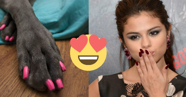 M&agrave;u sơn m&oacute;ng n&agrave;o hợp với bạn nhất?