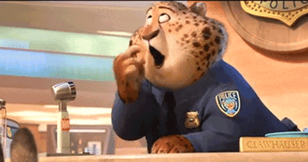 Which animal are you based on your face?