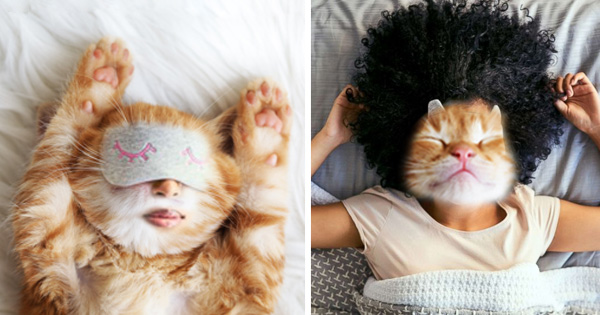 Khi ngủ say, bạn giống con vật dễ thương n&agrave;o?