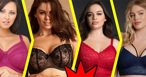 What type of bra fits you most?