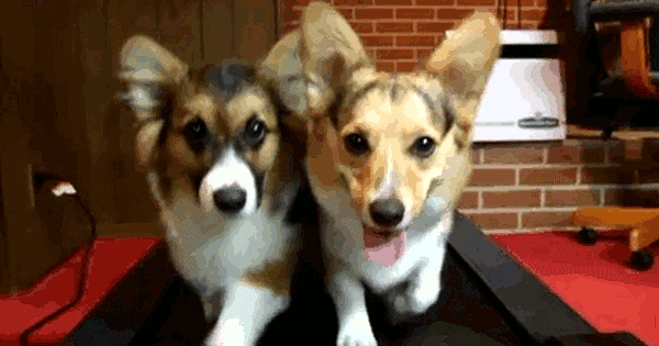 What are you running away from?