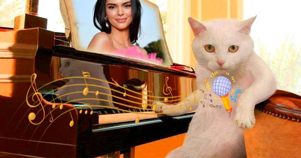 Put your photo on kitten`s piano score