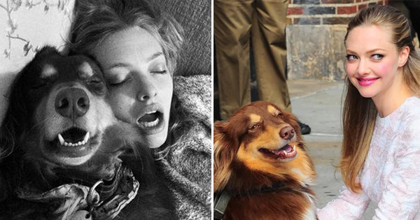 What Type Of Dog Mom Are You?