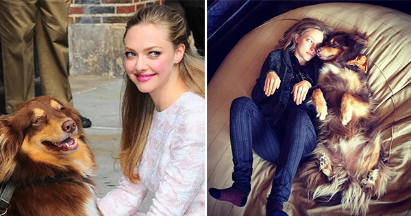 Que tipo de m&atilde;e voc&ecirc; &eacute; para o seu cachorro?