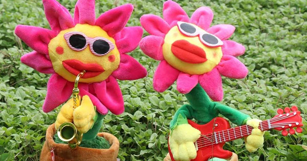 Bạn l&agrave; lo&agrave;i hoa n&agrave;o?