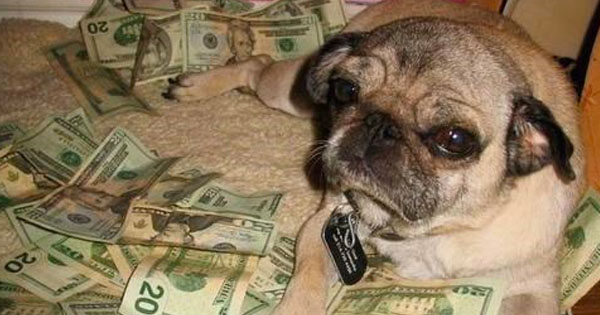  คุณจะเริ่มปี 2020 อย่างไร