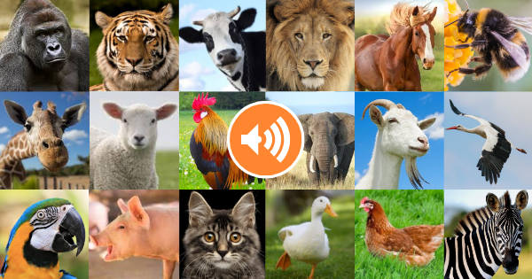 A high-quality image with distinct details and vibrant colors, showcasing a certain scene or object without any specific context provided. It has a unique fi...