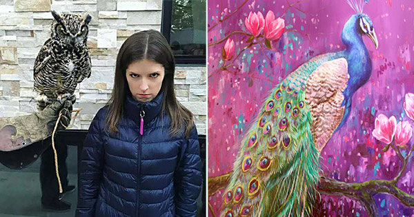 Which Bird Are You?