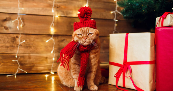 What gift is best for you boyfriend in Christmas?