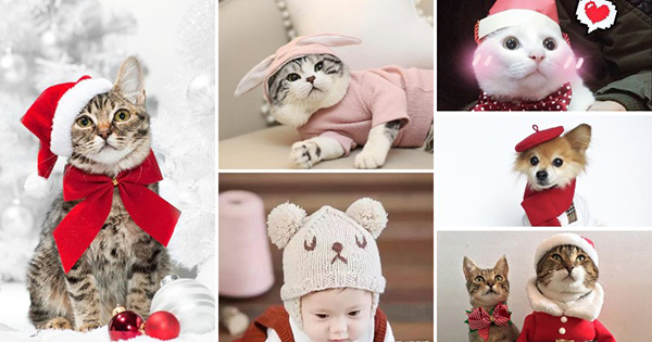 What Kind Of Hat Suits Your Face Shape?