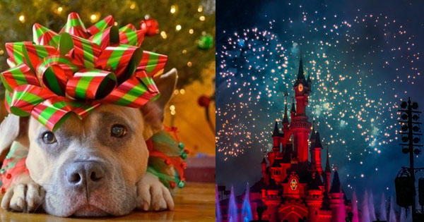 A visually appealing image likely related to the quiztest context, showcasing some content or element from the specified path. It could be part of a series o...