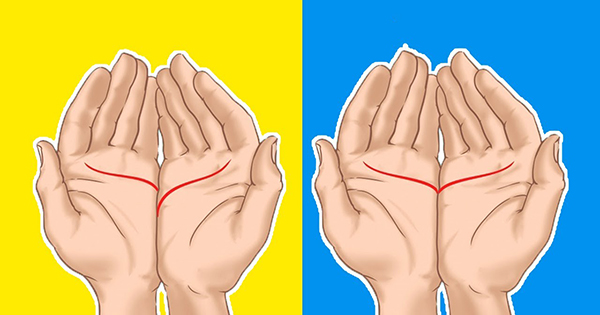 O que as linhas da sua palma da m&atilde;o dizem sobre a sua vida amorosa?