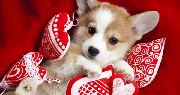  Kh&aacute;m ph&aacute; diện mạo xinh đẹp của bạn v&agrave;o Ng&agrave;y Lễ t&igrave;nh nh&acirc;n