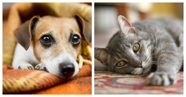 5e610276109fd 相关的图片内容