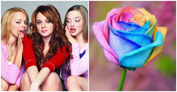 What color girl are you really?