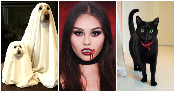 Voc&ecirc; &eacute; um vampiro, fantasma ou gato preto?