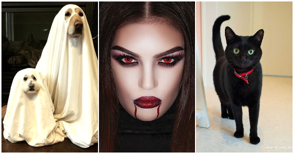 El test descubrir&aacute; si eres un vampiro, un fantasma, o un gato negro