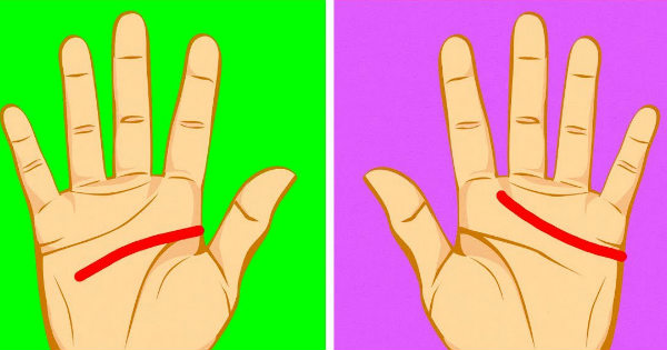 What does your palm lines reveal truly about you?