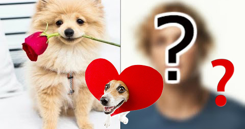 Anak Anjing mana yang merupakan pasangan Jiwa Aktualmu?