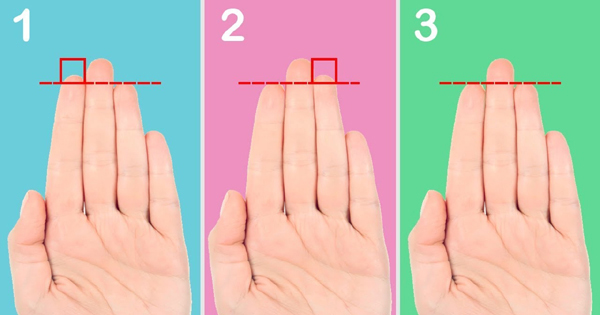 Apa Kata Panjang Jari Kamu Tentang Siapa Kamu Sebenarnya?