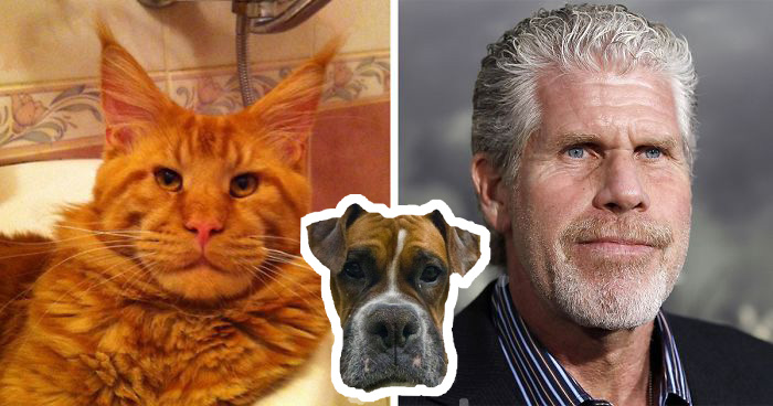 คุณมีลักษณะเหมือนสัตว์ประเภทไหนรวมกัน 2 ประเภท.