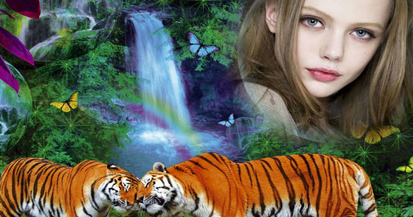 A linda moldura de tigres para voc&ecirc;, adicione a sua foto!