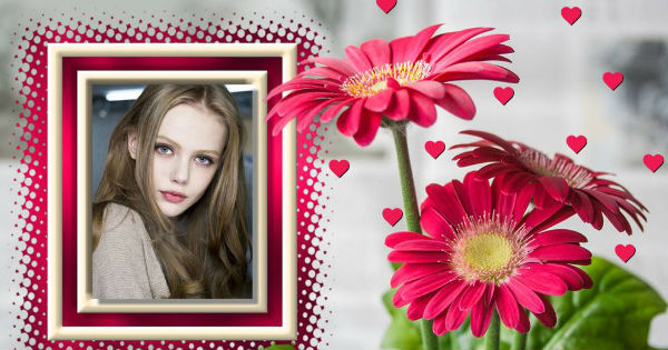 Crie a sua linda foto com flores rosas. Veja agora!