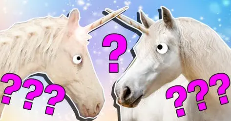 A high-quality image with clear details, likely part of a quiz or test context, showcasing sharpness and color. The link leads to an image stored in a specif...