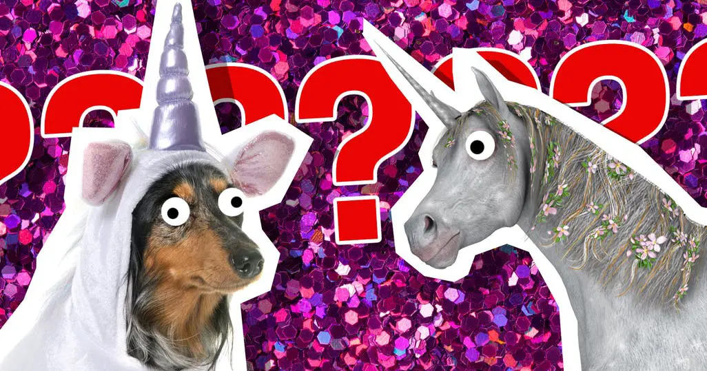 Unicorn Manakah yang Sesuai dengan Kepribadian Kamu berdasarkan bulan kelahiran Kamu?