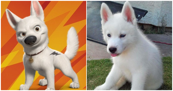 Descubre a Qu&eacute; Perro Famoso de Disney se parece tu Cachorro