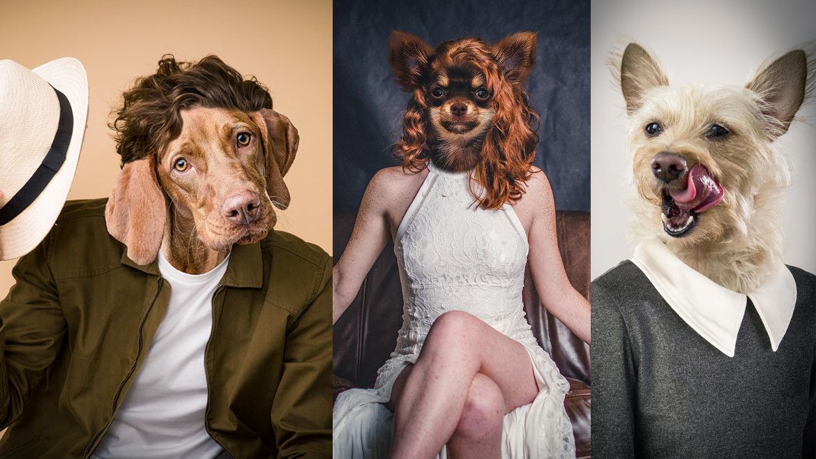 If You Weren&rsquo;t Human, What Would You Be?