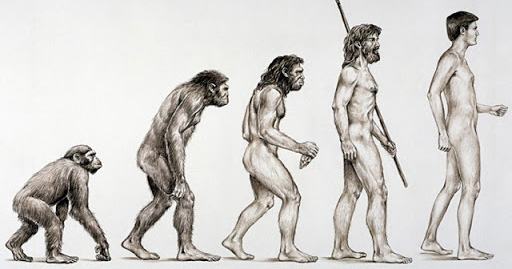 Se voc&ecirc; n&atilde;o fosse um ser humano, o que seria?