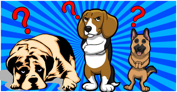  N&oacute;s revelaremos a sua melhor qualidade ao escolher um cachorro que mais te atrai