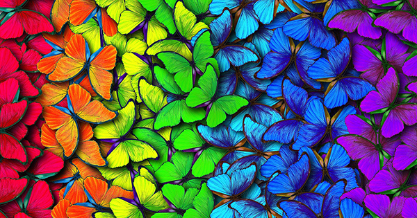 Esta prueba de color revelar&aacute; el secreto de por qu&eacute; la gente te quiere