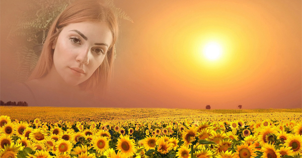 Look at your beautiful photo in the sunlight sky with sunflowers