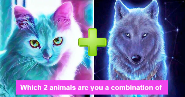 Which 2 animals are you a combination of