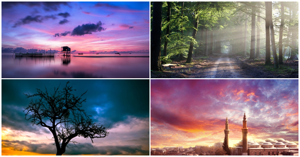 Descubre qu&eacute; piensan los dem&aacute;s sobre ti. Elige el paisaje que te guste