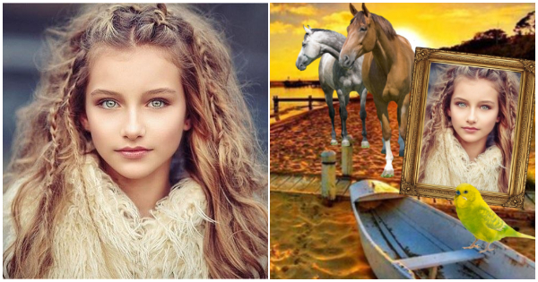 Look at your photo with animals in the sunset