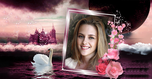 Find out your fantastic photo with swan lake frame