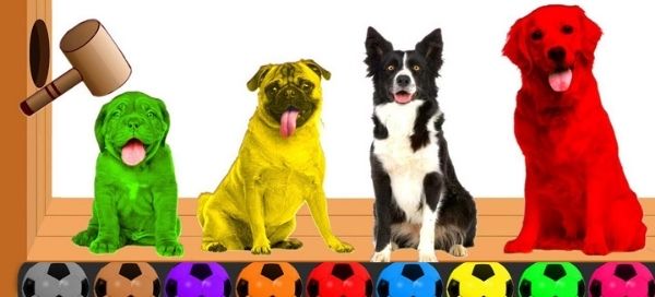 &iquest;De qu&eacute; color es tu personalidad en el amor?