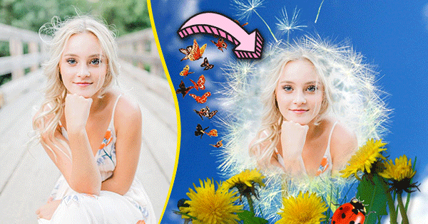 Let`s Reveal Your Beautiful Dandelion Photo