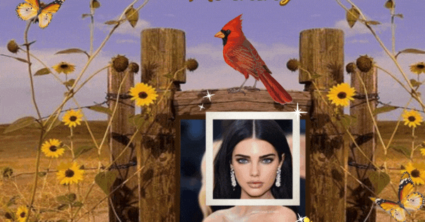 Agrega tu hermosa foto con marco de arte en madera