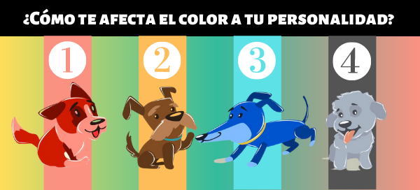 &iquest;C&oacute;mo te afecta el color a tu personalidad? &iexcl;Elije un cachorro y desc&uacute;brelo!
