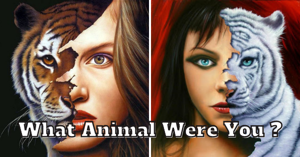 What animal were you in a past life?