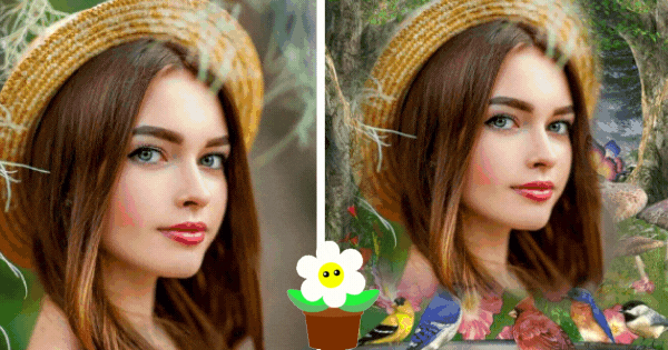 Consigue Tu Foto Encantadora Con Aves y Flores