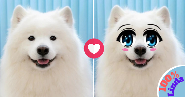 Crie A Sua Foto Engra&ccedil;ada Com Olhos De Anime!